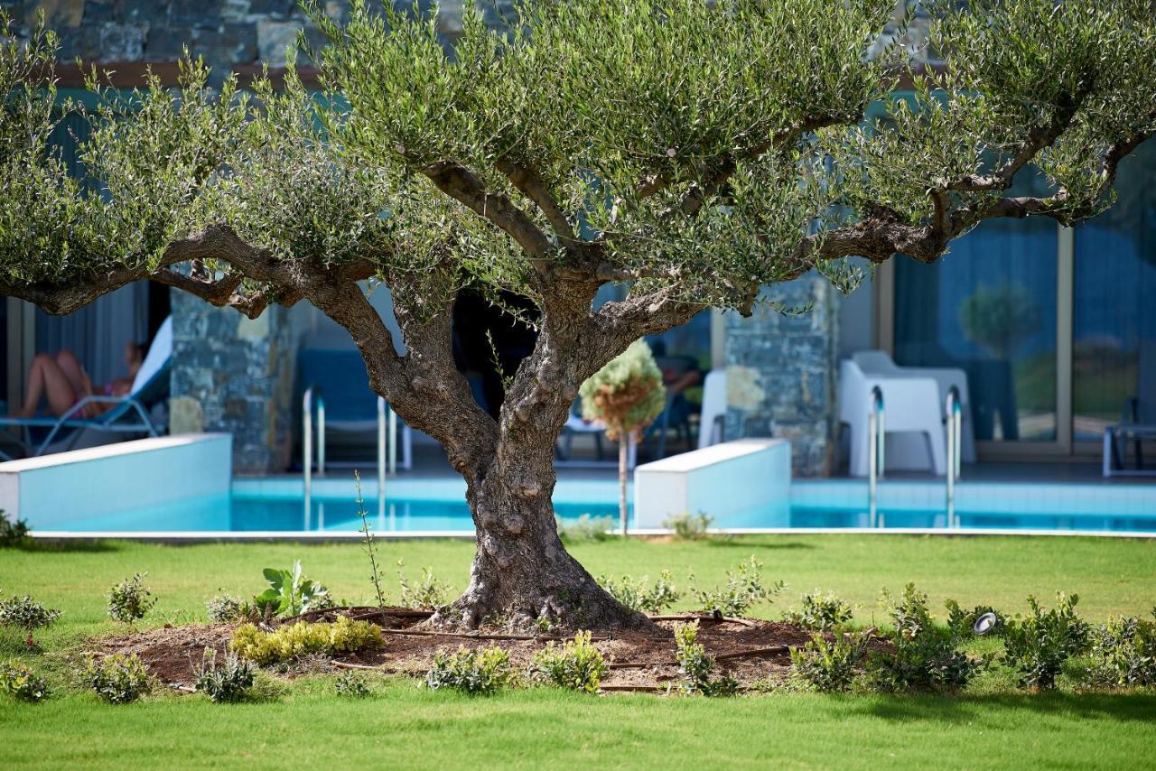 Kakkos Beach Hotel - Adults Only Ierápetra Dış mekan fotoğraf
